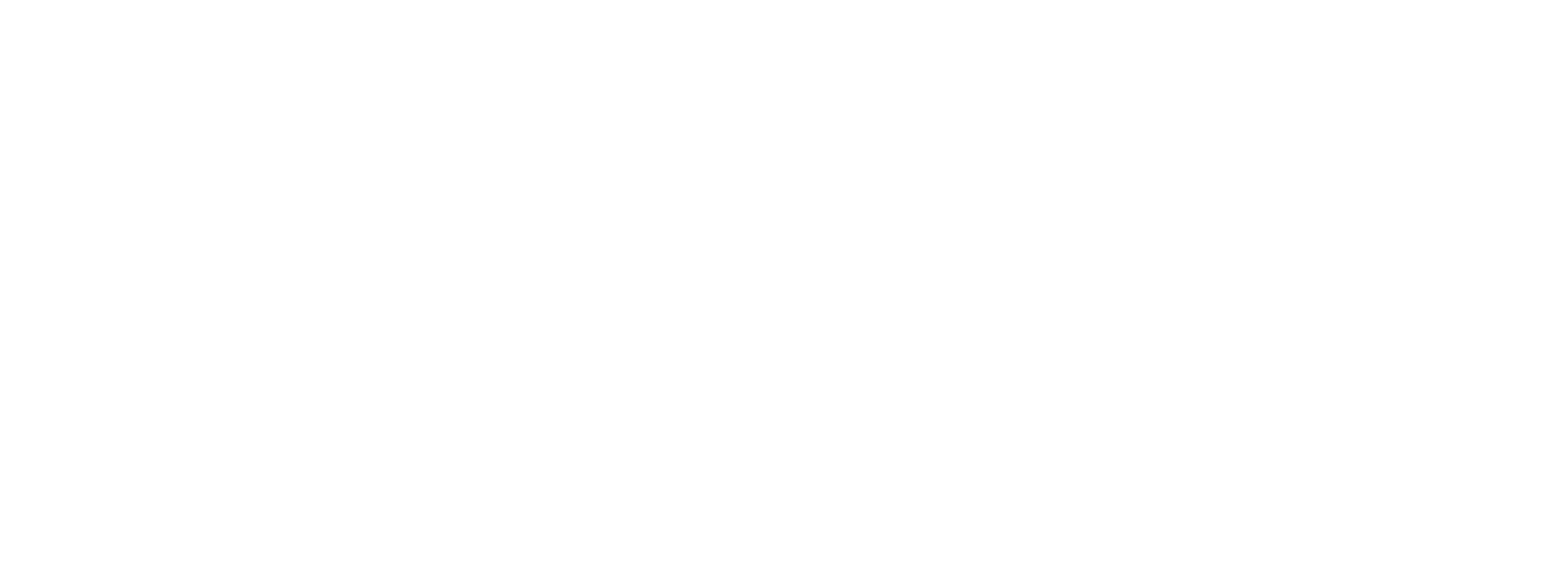 Steinbeis AKI